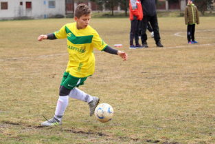 五大联赛观众情绪波动与主队表现高度相关，五大联赛 观众