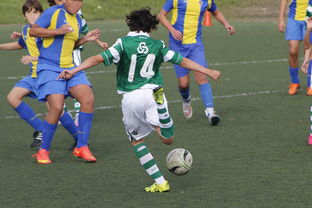 体育新闻中心追踪每一场精彩赛事，体育新闻官网